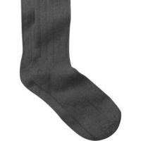 Classic ribbed socks